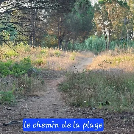 Maison Avec Et Piscine Privée à 3 Min à Pied De La Et Des Commerces La Croix-Valmer