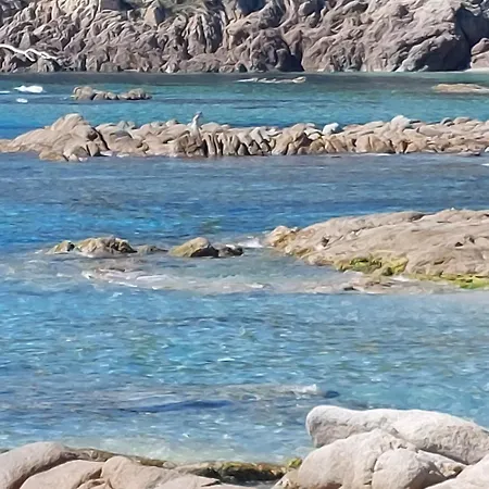 Hébergement de vacances Maison Avec Et Piscine Privée à 3 Min à Pied De La Et Des Commerces La Croix-Valmer